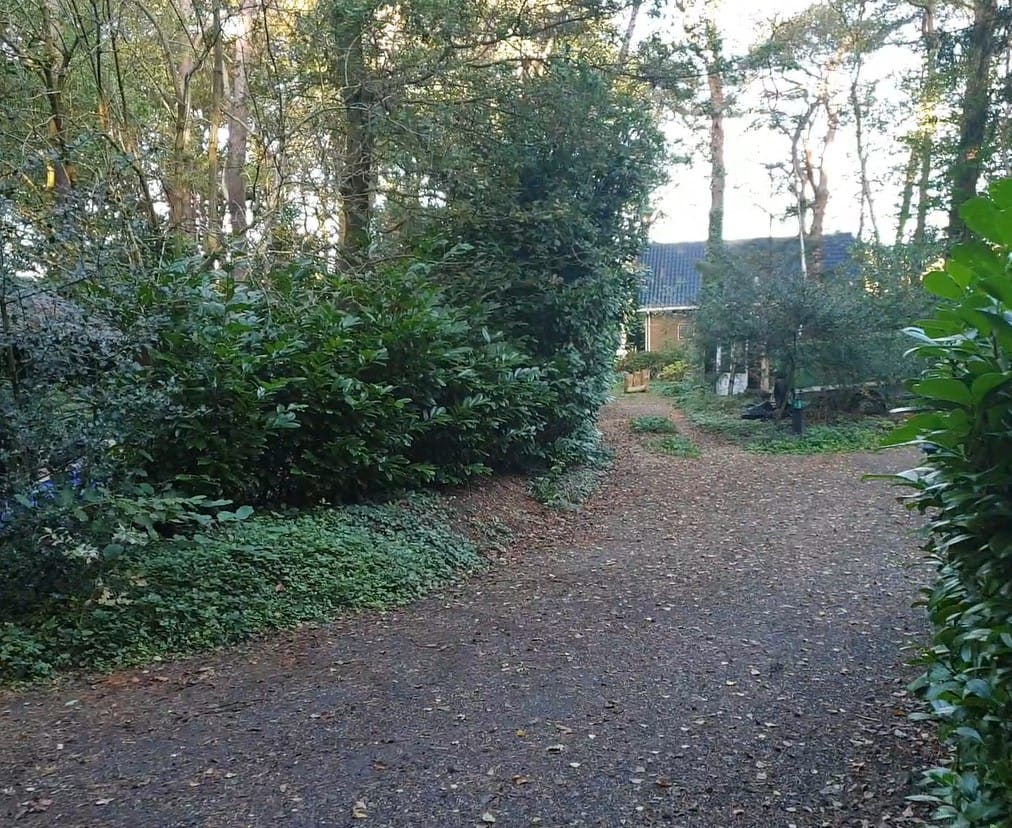 Foto 56 van Apollolaan 4