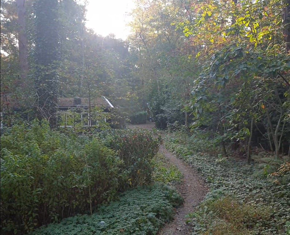 Foto 57 van Apollolaan 4