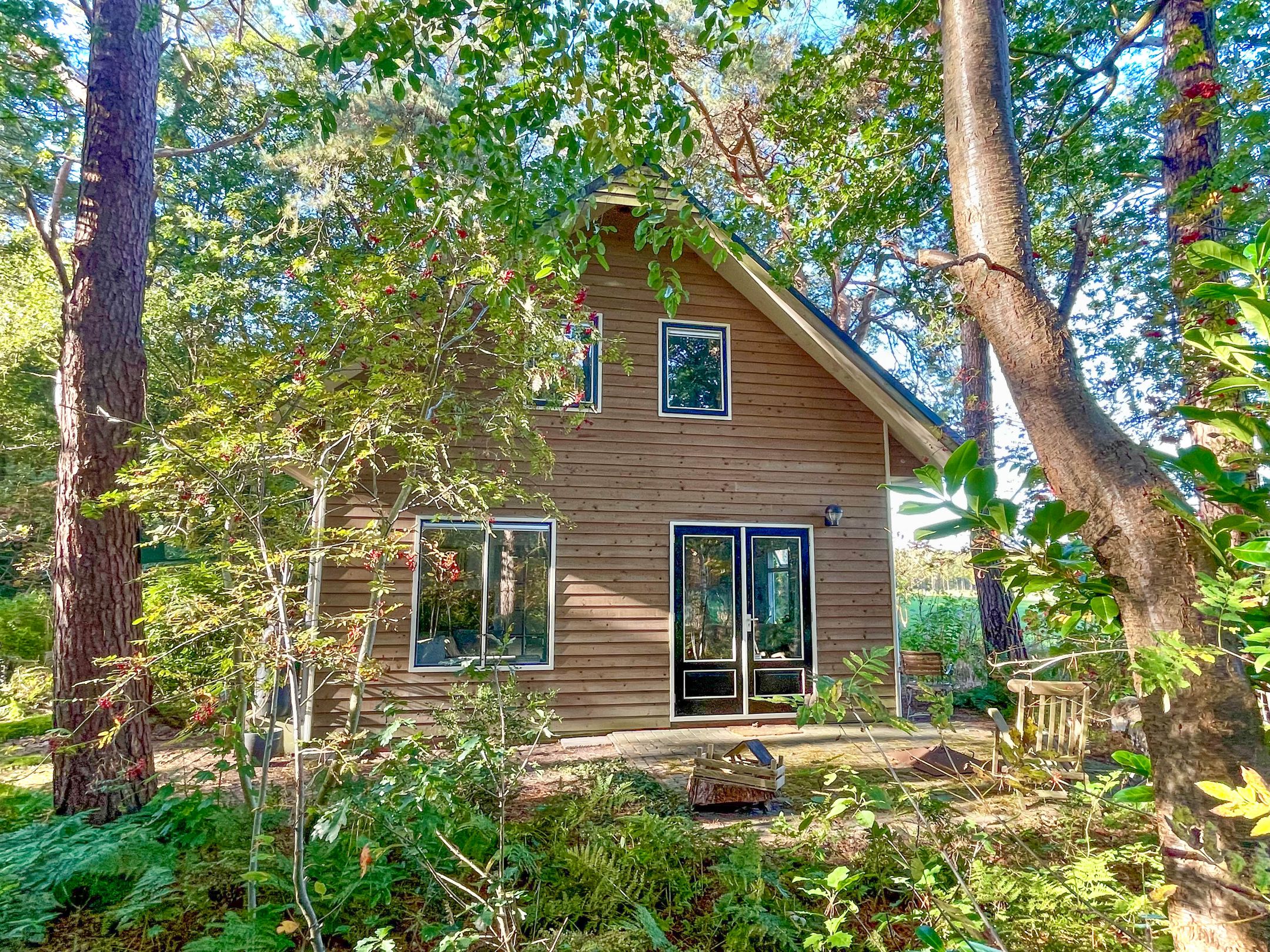 Foto 51 van Apollolaan 4