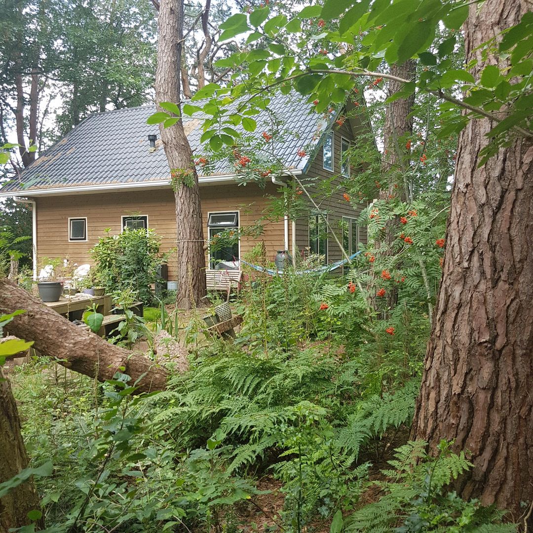 Foto 58 van Apollolaan 4