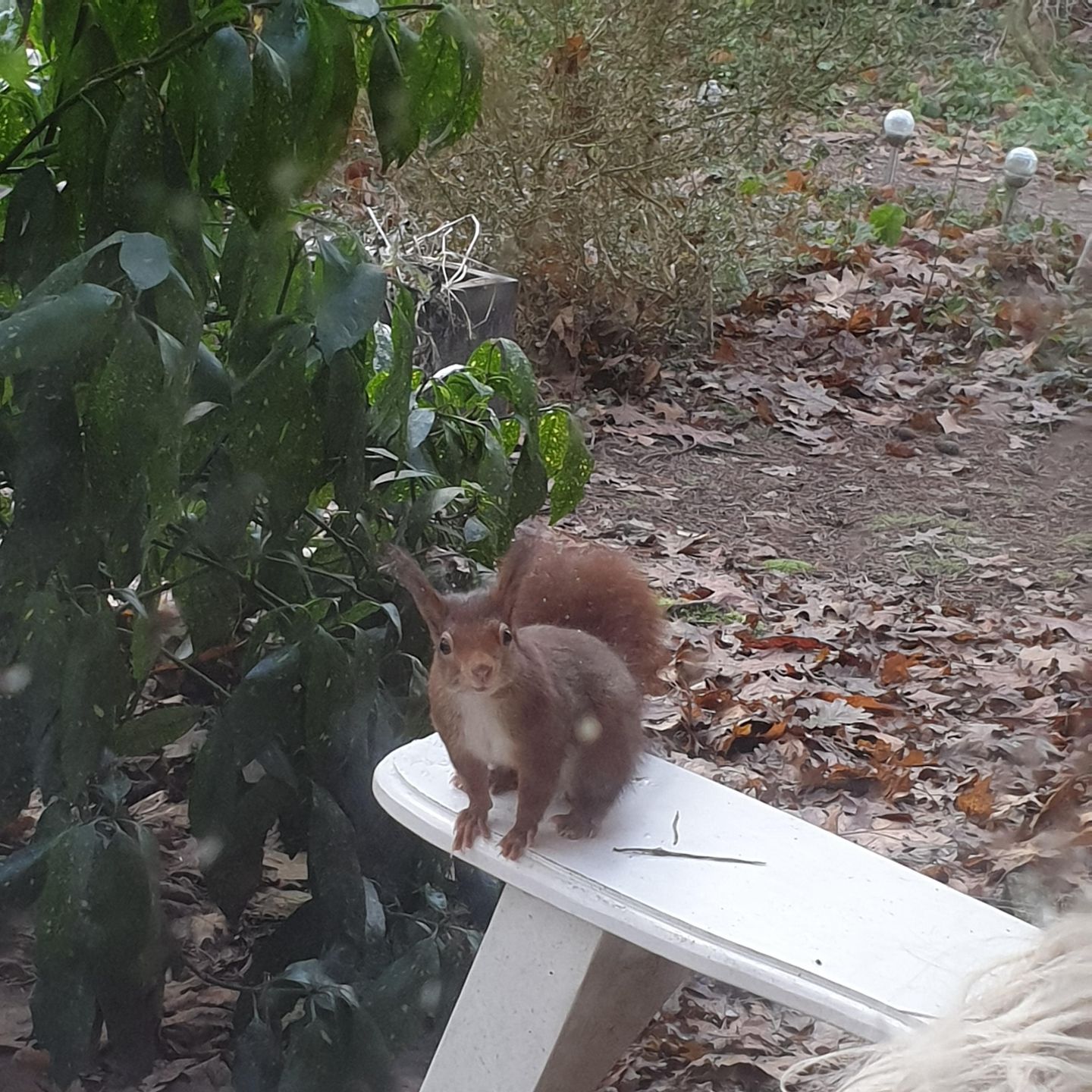 Foto 59 van Apollolaan 4