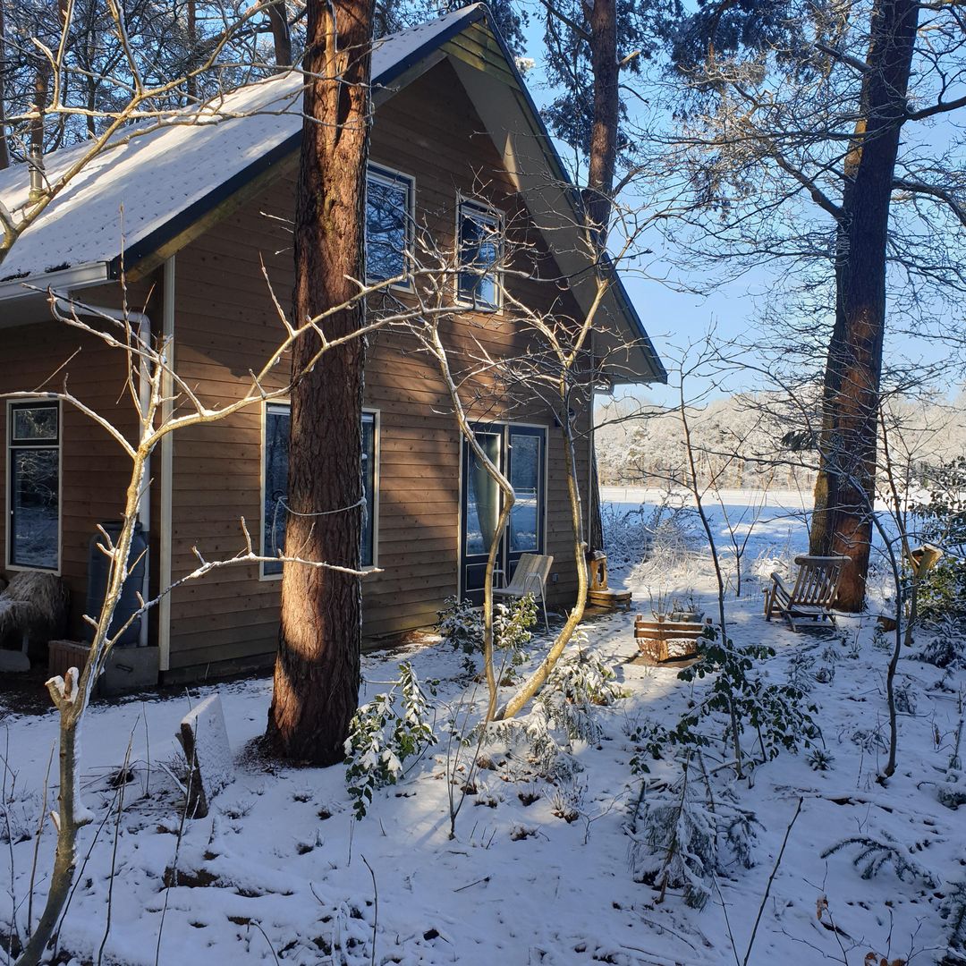 Foto 61 van Apollolaan 4