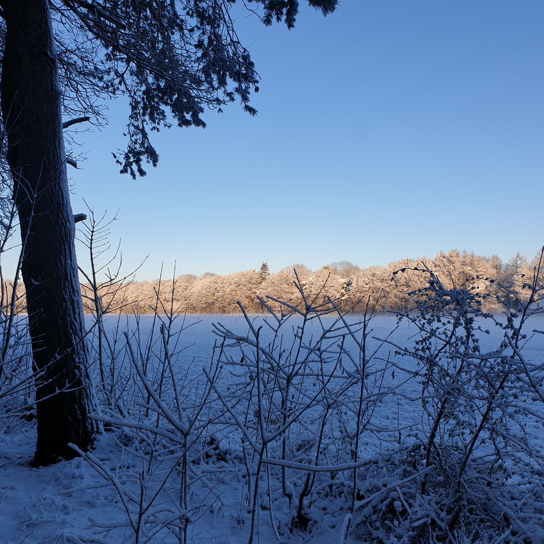 Foto 62 van Apollolaan 4