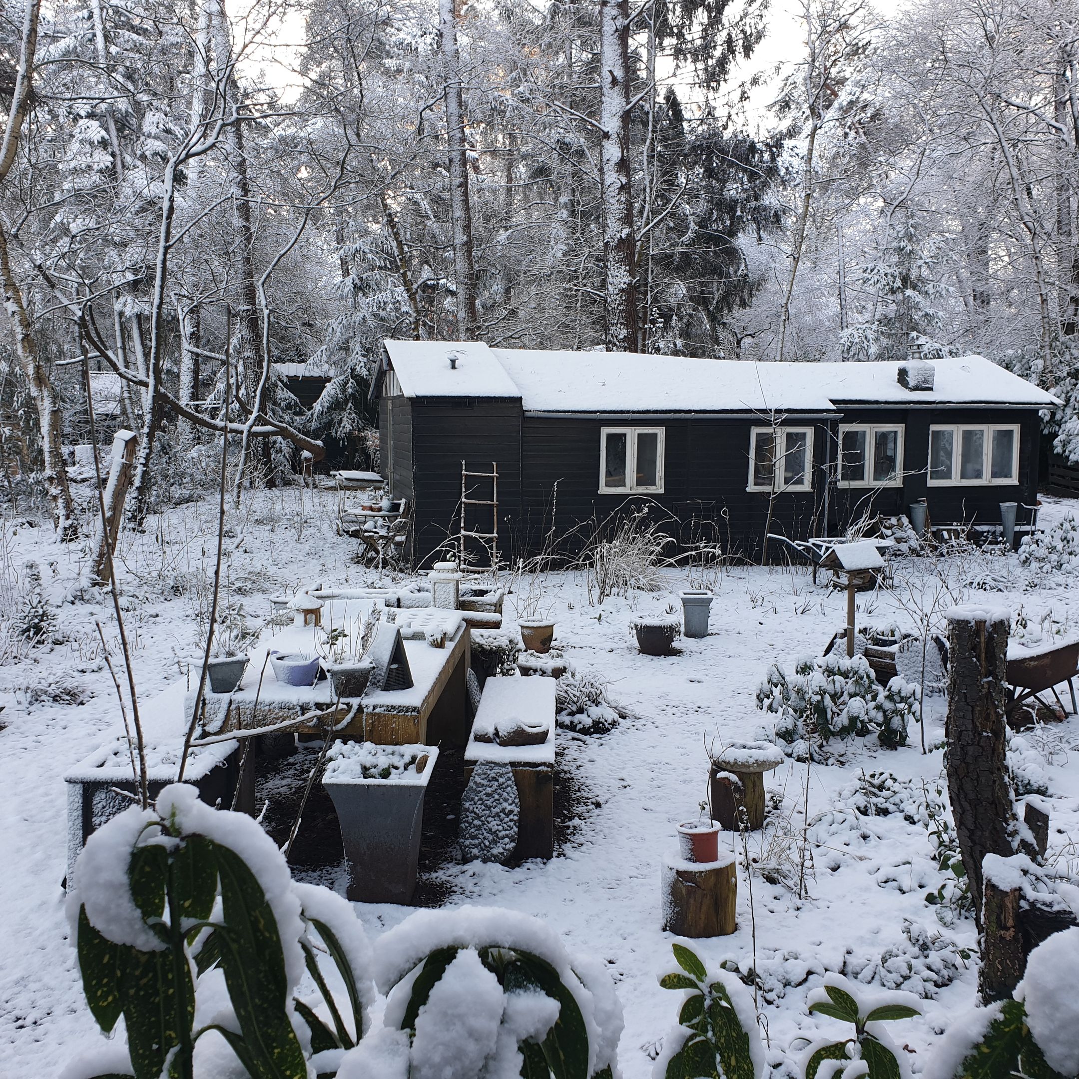 Foto 63 van Apollolaan 4