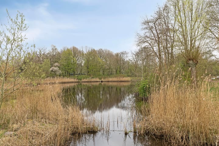 Foto 29 van Neckarstraat 19