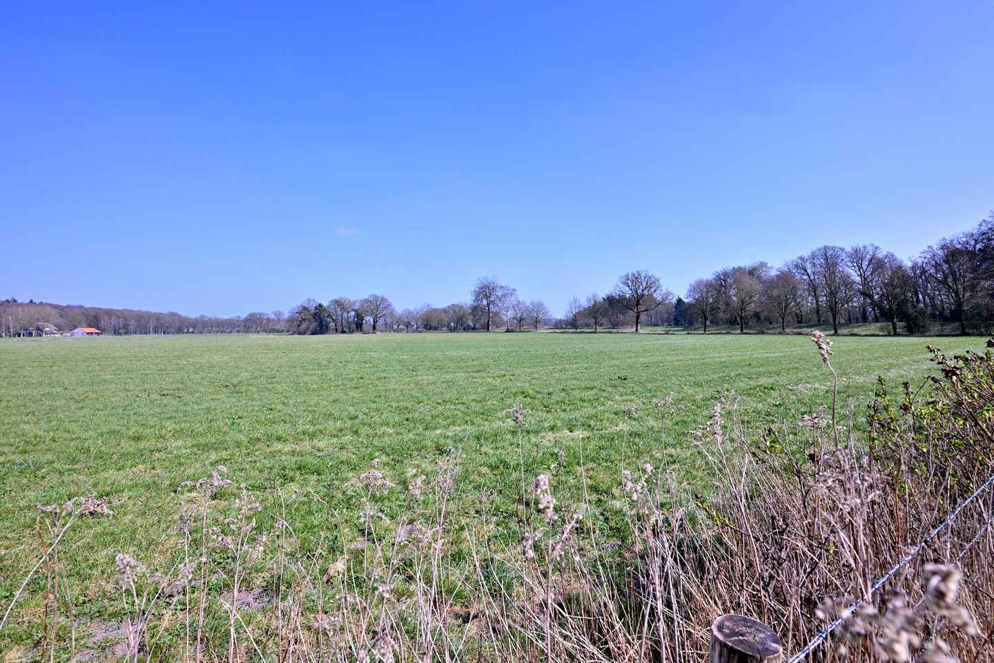 Foto 50 van Anne Franklaan 72