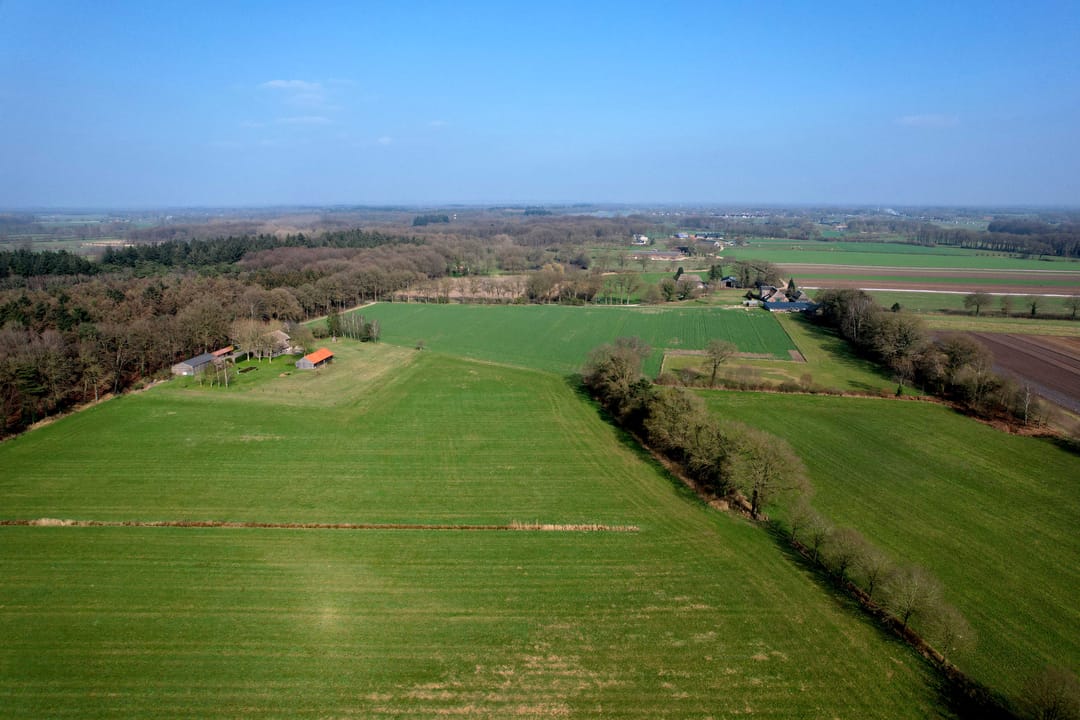 Foto 62 van Anne Franklaan 72