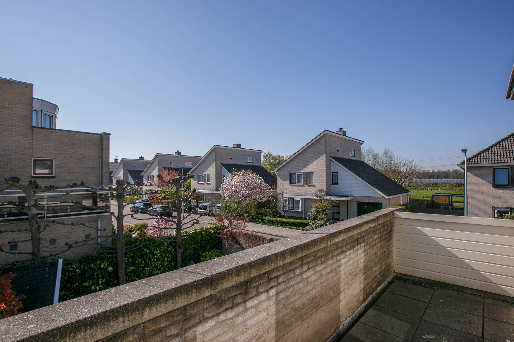 Foto 21 van Spaansezoom 28