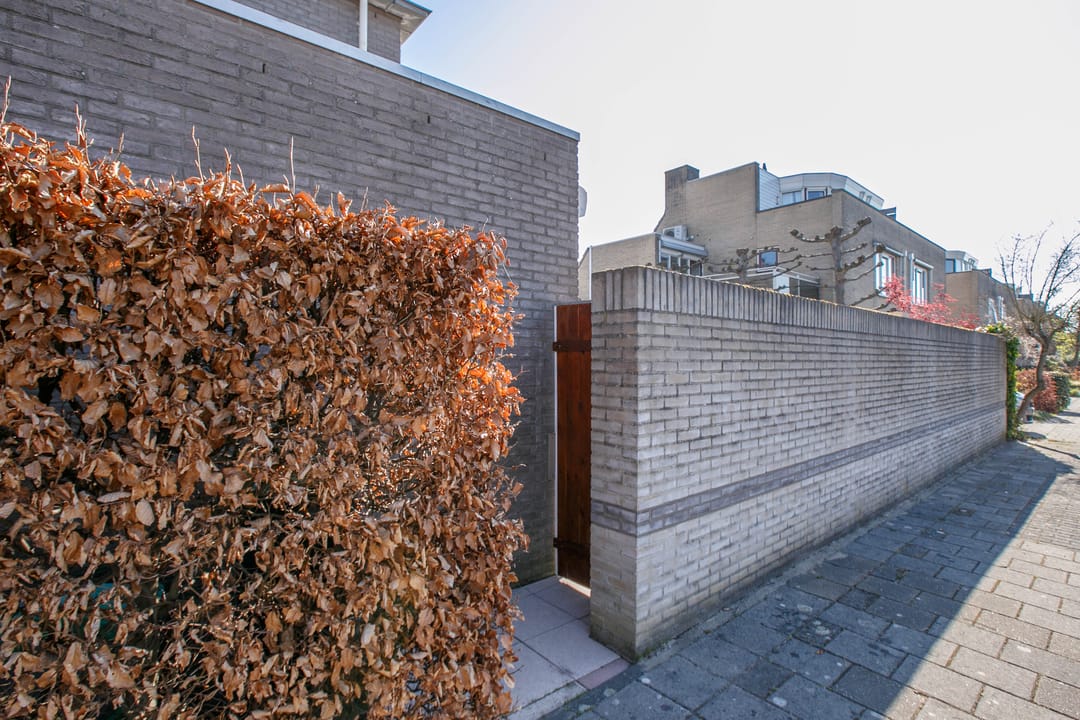 Foto 41 van Spaansezoom 28