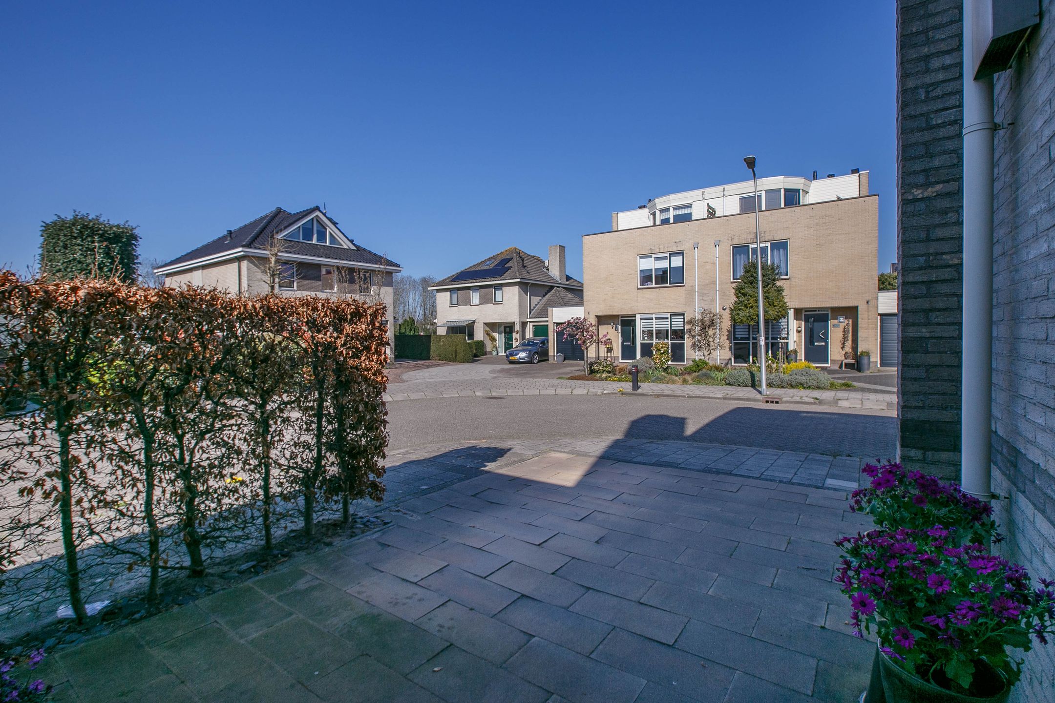 Foto 42 van Spaansezoom 28