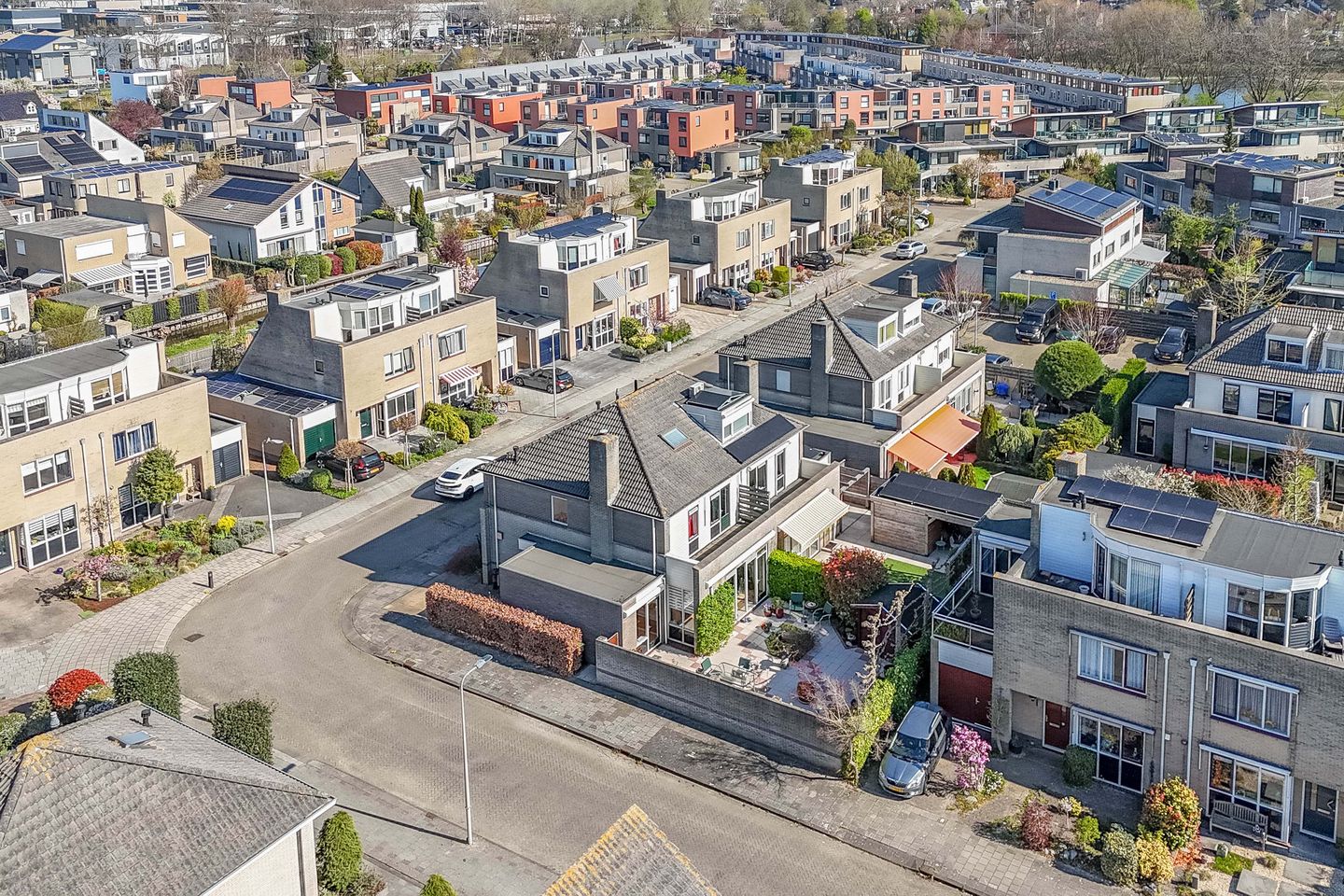 Foto 50 van Spaansezoom 28