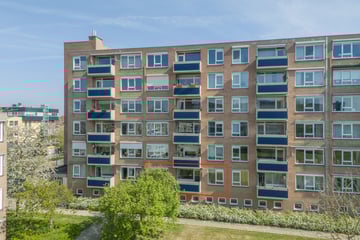 Albert Cuypstraat thumbnail