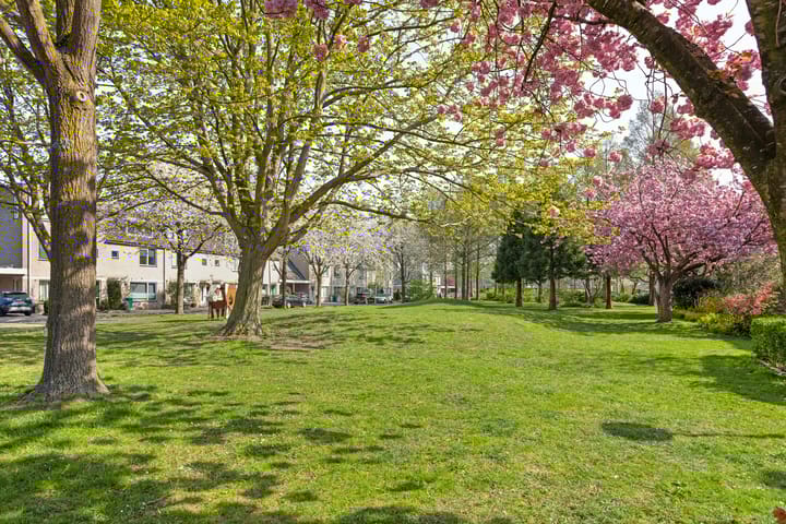 Foto 41 van Oslopad 4