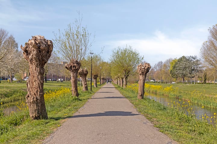 Foto 43 van Oslopad 4