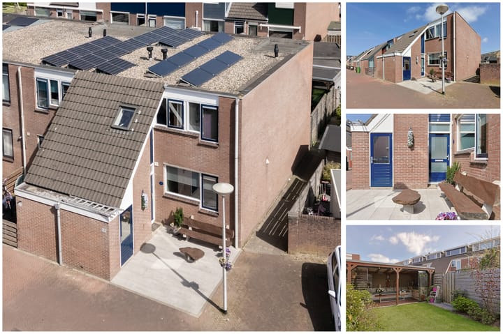 Foto 5 van Champignon 19