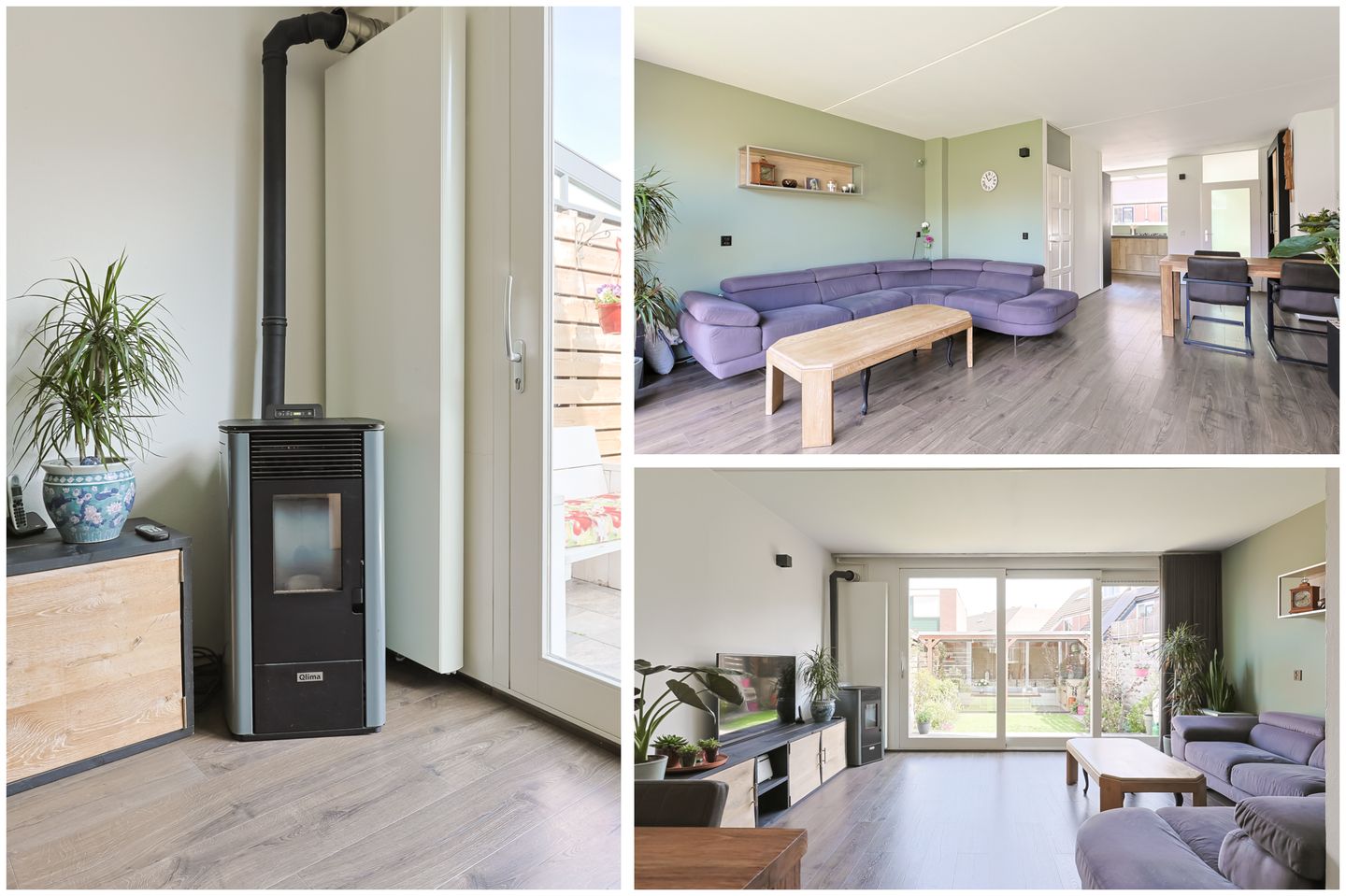 Foto 14 van Champignon 19