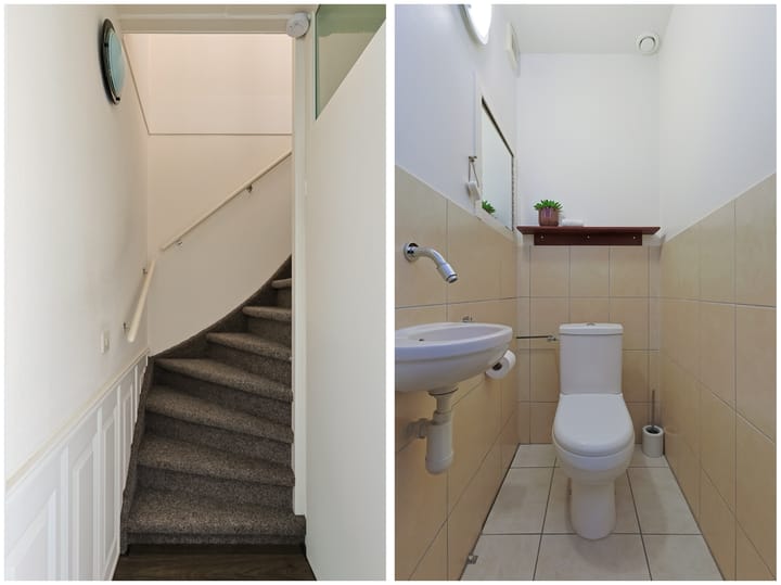 Foto 23 van Champignon 19