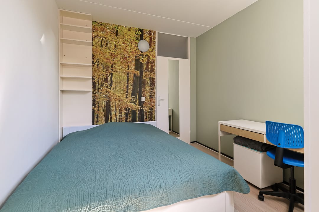 Foto 31 van Champignon 19