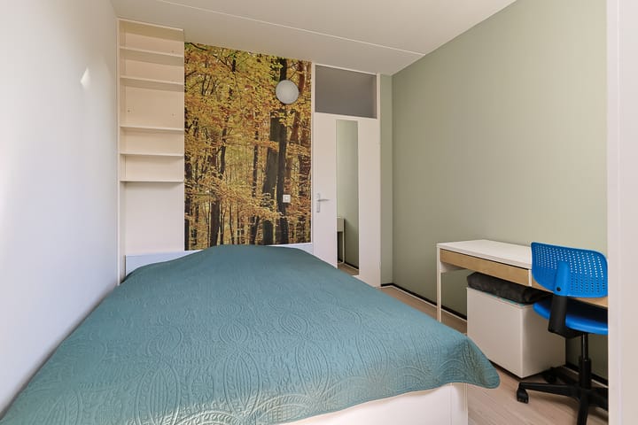 Foto 31 van Champignon 19