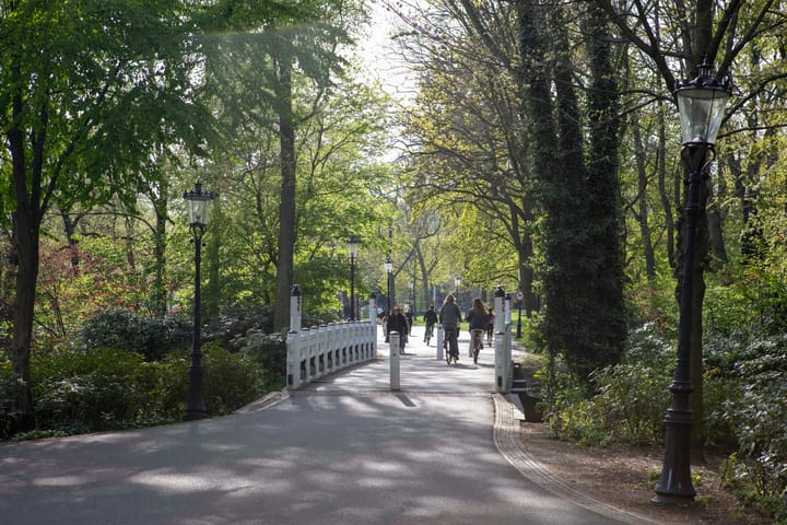 Foto 24 van Eerste Van Swindenstraat 38-3