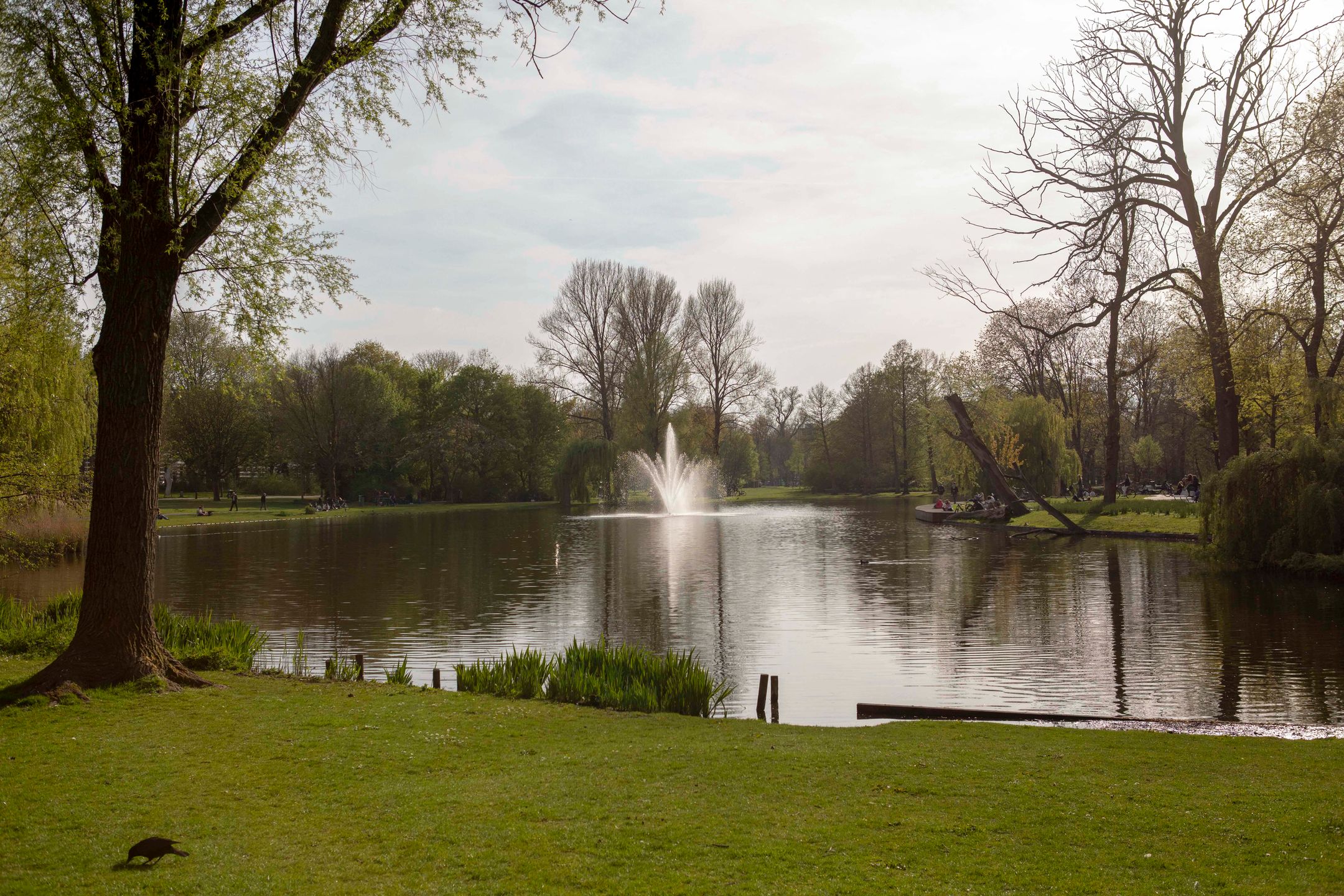 Foto 27 van Eerste Van Swindenstraat 38-3