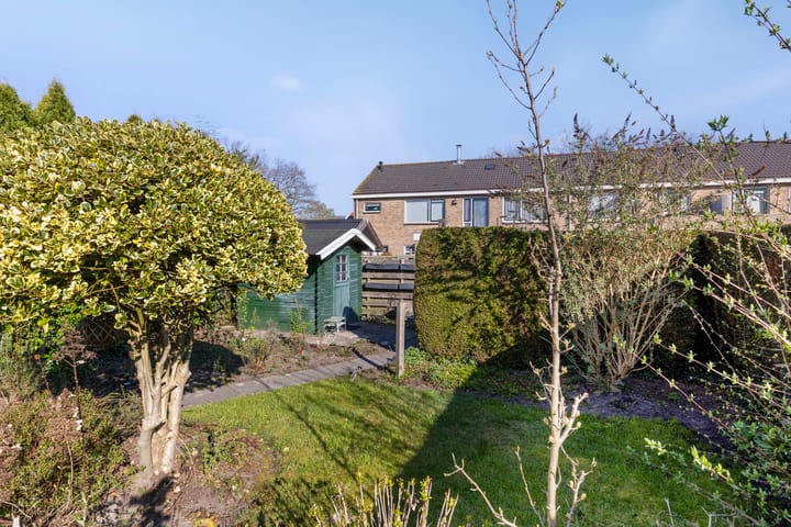 Foto 2 van Holtwal 5