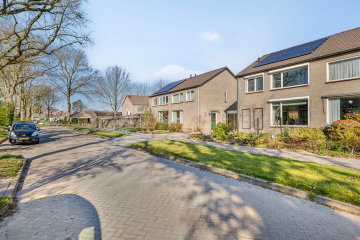 Foto 9 van Holtwal 5