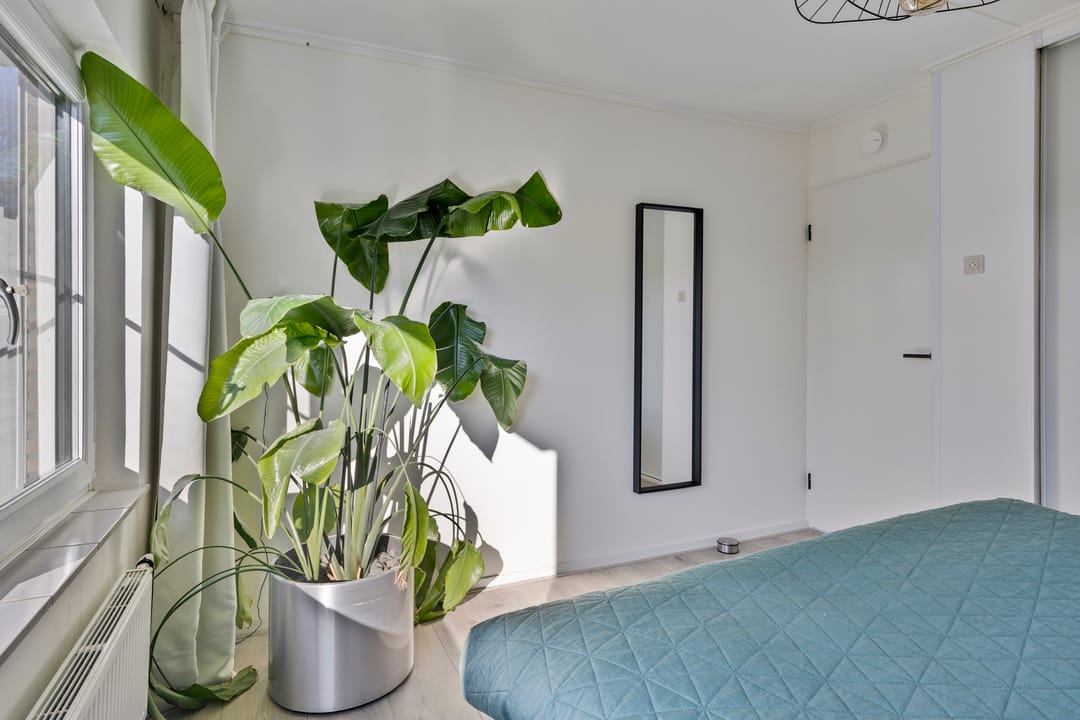 Foto 22 van Holtwal 5