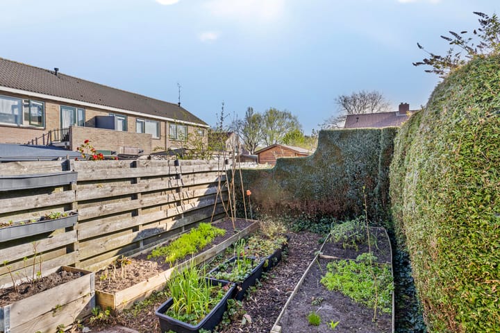 Foto 35 van Holtwal 5