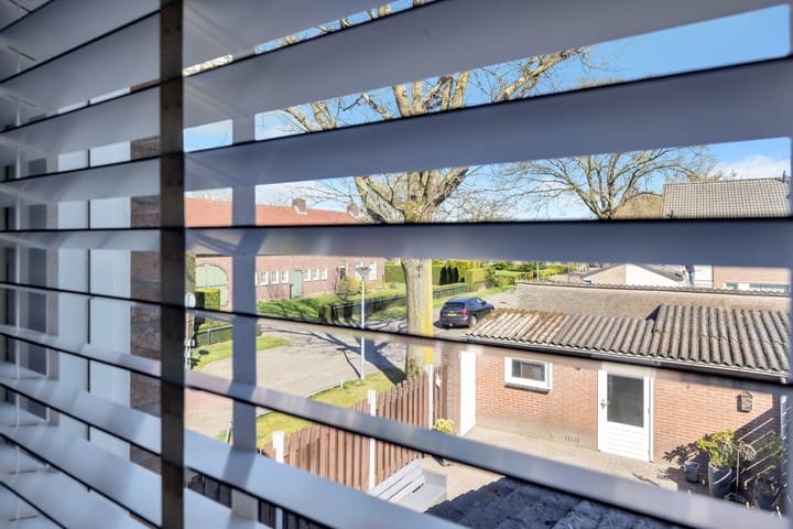 Foto 33 van Molenberg 1