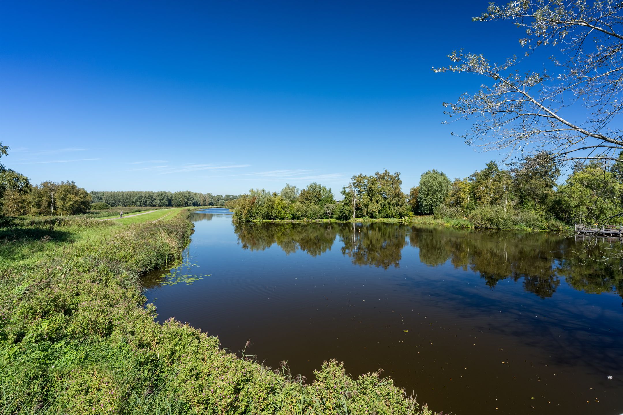 Foto 54 van Den Ilp 99