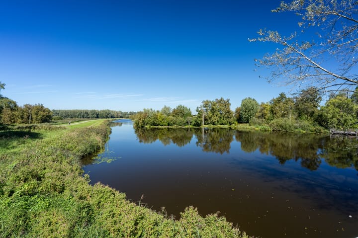 Foto 54 van Den Ilp 99