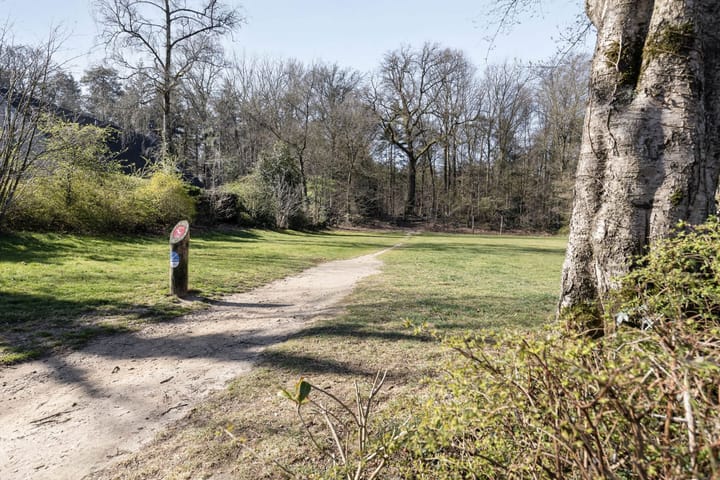 Foto 21 van Eduard van Beinumlaan 30