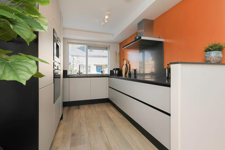 Foto 3 van Regulus 17