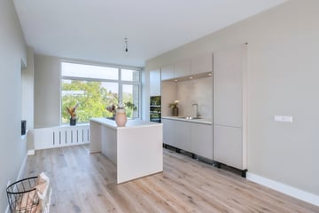 Van Alkemadelaan thumbnail