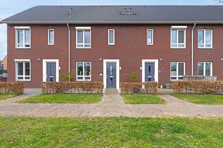 undefined main image