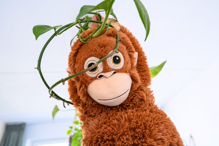 Foto 13 van Ereprijs 4