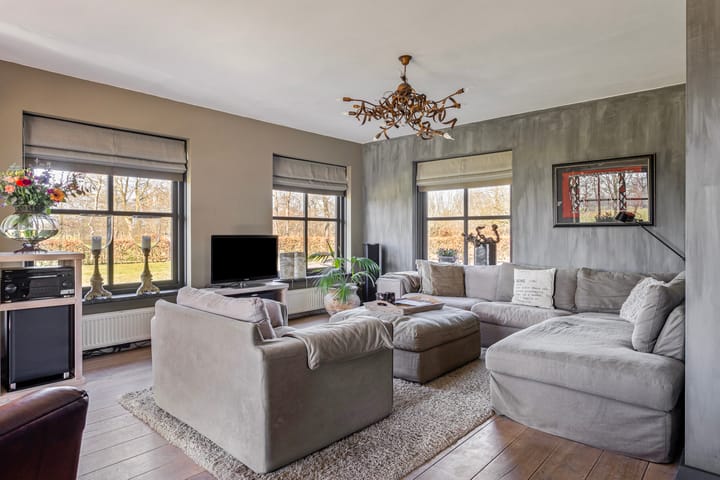 Foto 7 van de Wit's reed 2-A