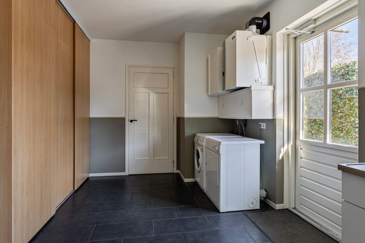 Foto 23 van de Wit's reed 2-A