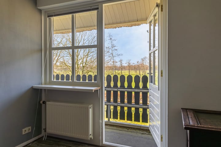 Foto 46 van de Wit's reed 2-A