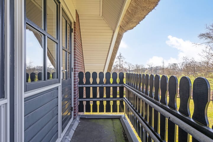 Foto 47 van de Wit's reed 2-A