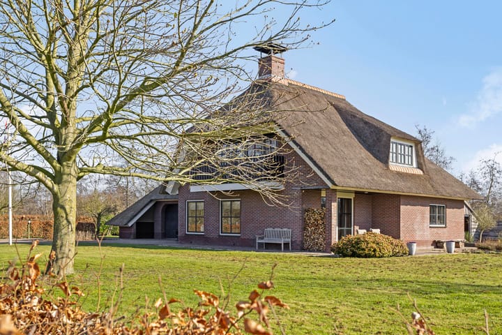 Foto 50 van de Wit's reed 2-A