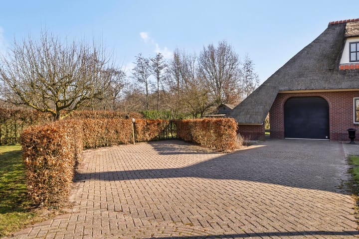 Foto 52 van de Wit's reed 2-A