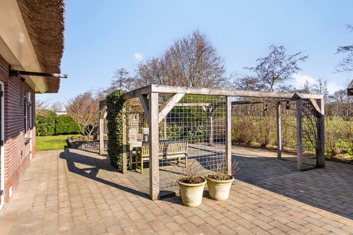 Foto 61 van de Wit's reed 2-A