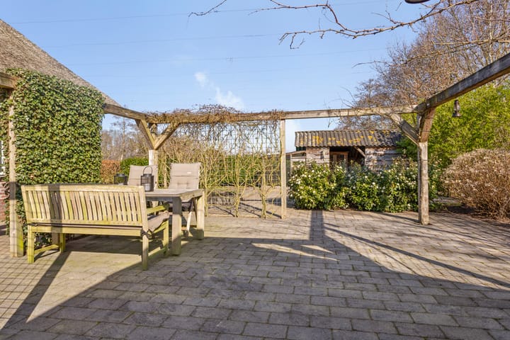 Foto 62 van de Wit's reed 2-A