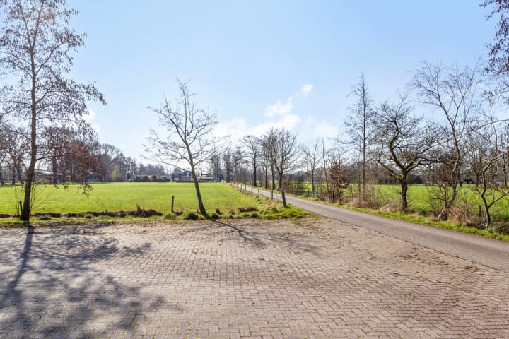 Foto 67 van de Wit's reed 2-A