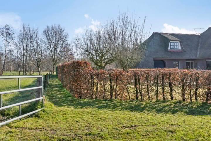 Foto 73 van de Wit's reed 2-A