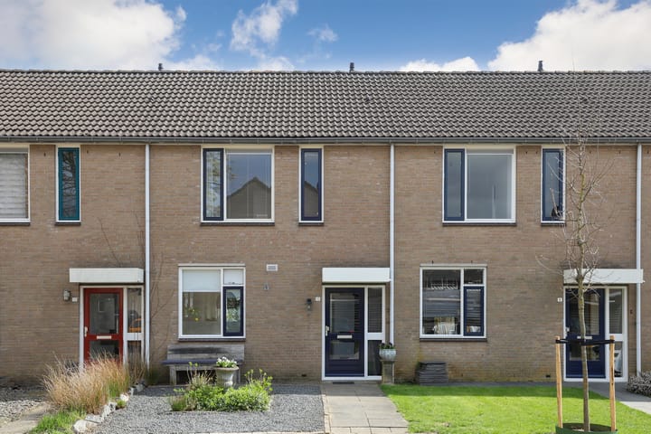 Foto 2 van Lijster 10