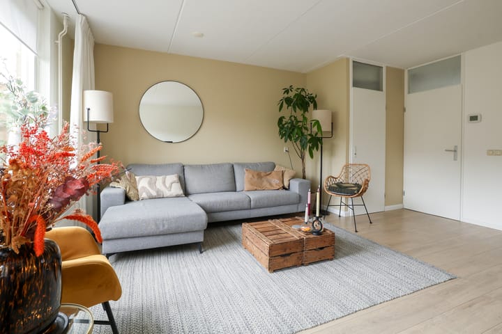 Foto 4 van Lijster 10