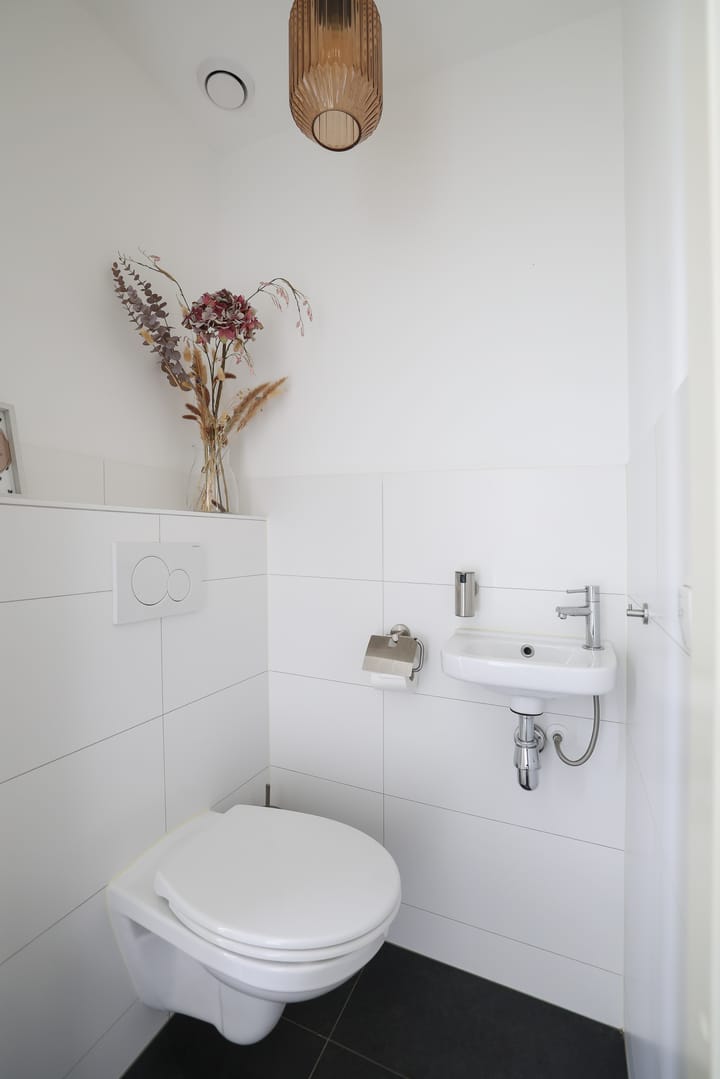 Foto 11 van Lijster 10